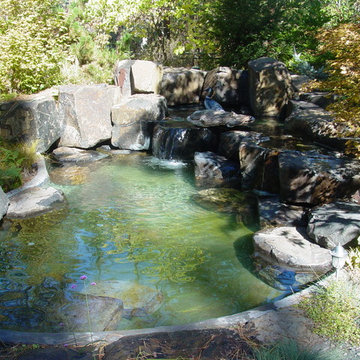 Sherry's wading pool
