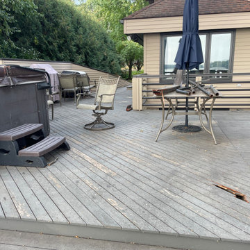 Beauty and the beach tree damaged decking