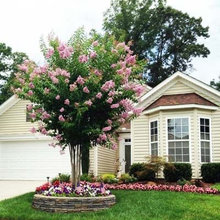 New Landscape Design