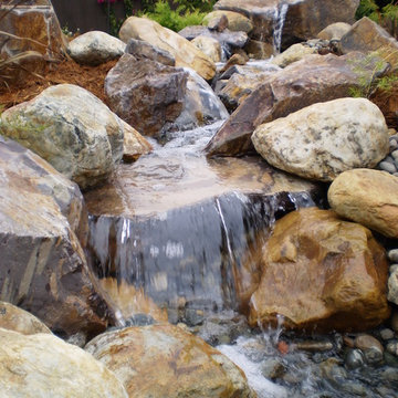 Water feature, native planting with custom functional creek