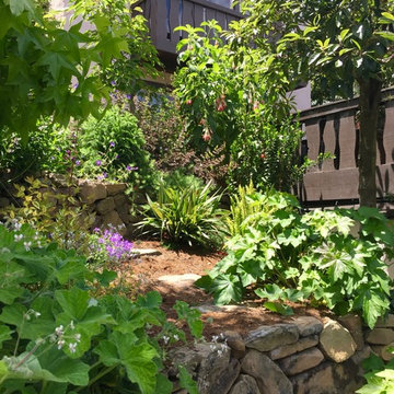 Forest Hills Slope
