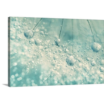 "Dandy Rain" Wrapped Canvas Art Print, 30"x20"x1.5"