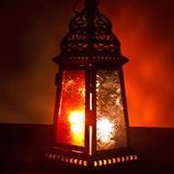 Foto von Dina Mousa