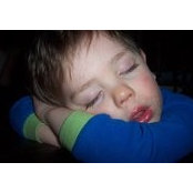 Melissa Blanckaert's photo