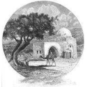 Avi Beit Halachmis foto