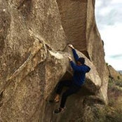 Adam Shahbaz's photo