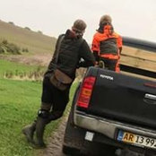 Dan Silving's photo