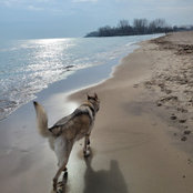 Connie F's photo