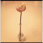 Martina Giavino's photo