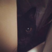 Adriane Paris's photo