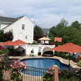 Dimassi and Sons Landscaping Inc.'s profile photo