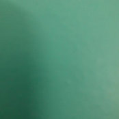 Lisa Mudd's photo