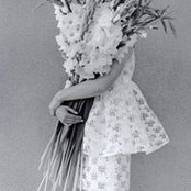 Inga Novak's photo