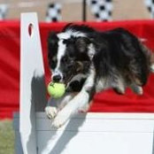 Elaine Lemaster's photo