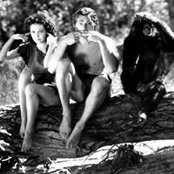 Manuel Amado's photo
