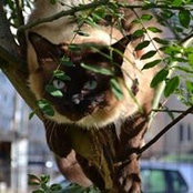 Elena Vasilieva's photo