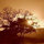 webuser_28113
