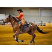 Sarah Wiest's photo