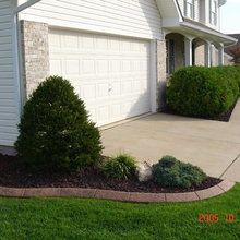 Landscape Ideas