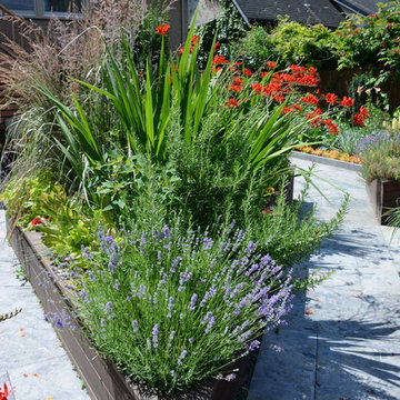 Raised Vegetable Bed / Ornamental Garden 2016