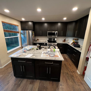 Castle Rock 23-Day Kitchen Remodel