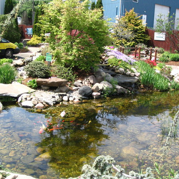 TJB-INC Display Gardens & Ponds - 12 Crestway Hamden
