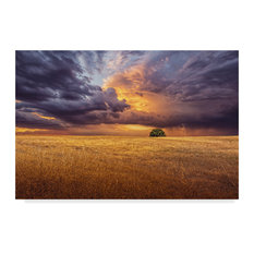 Antonio Bernardino Coelho 'Alone In The Field' Canvas Art, 47"x30"