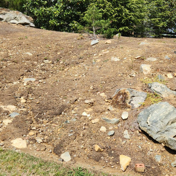 Backyard Transformation with Drainage, Irrigation & Future-Ready Design