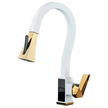 Pull Out Digital Temperature Display Flexible Kitchen Faucet, White Gold