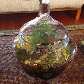 Fairy Gardens, Terrariums & Succulents