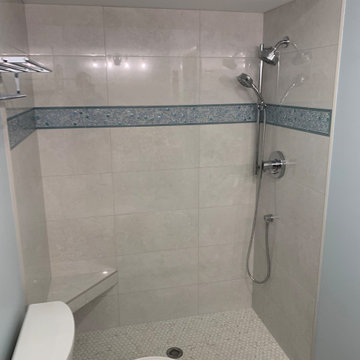 Siesta Key Tub to shower remodel