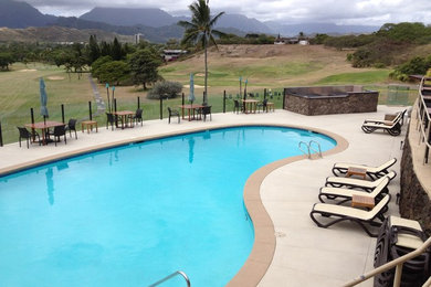 Example of a large beach style backyard kidney-shaped natural pool design in Hawaii with a bbq area