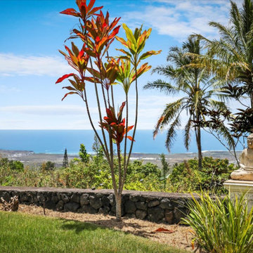 A Hawaii Gem