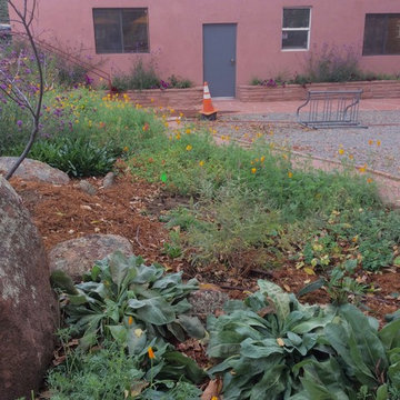 Town of Lyons Plaza Garden...