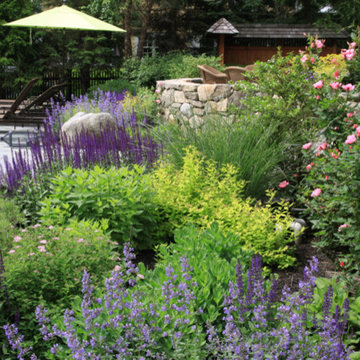 Coastal plantings, June 2014