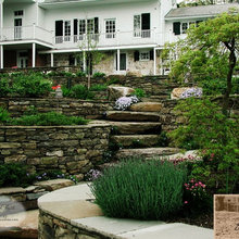 Ideas for the Backyard Hill