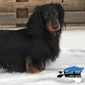 Piret Rubinstein's photo