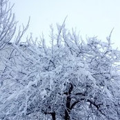 Foto de Derya Koseoglu
