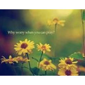 Wafaa Elnaem's photo