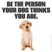 Kristina McCarty's photo