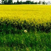 Joy Marimon's photo