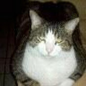 KATHLEEN KUNZMAN's photo