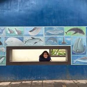 Judy Ku's photo