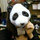 Ashley Panda