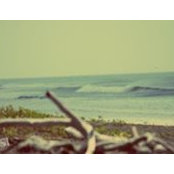 Photo de Juan Valle