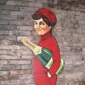 Farshid Araghizadeh's photo