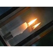 Tami Moore's photo