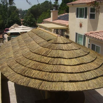 African Cape Reed Thatch