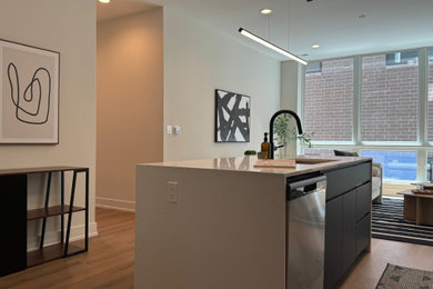 Home design - modern home design idea in Chicago