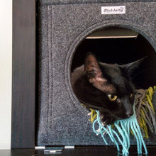 cat's empire